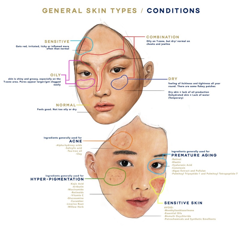 skin types chart